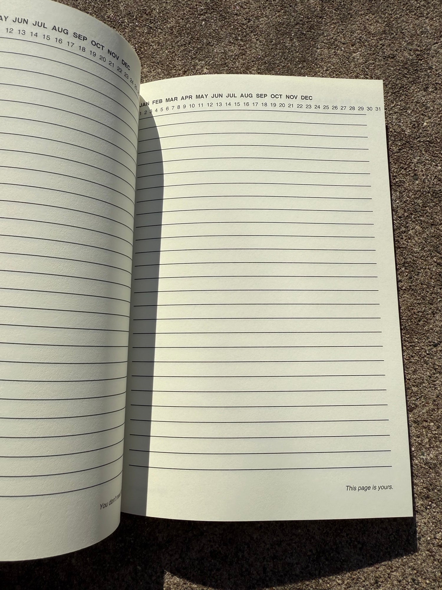 REBORN Journal — Built from what tried to break me