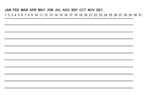 REBORN Journal — Built from what tried to break me